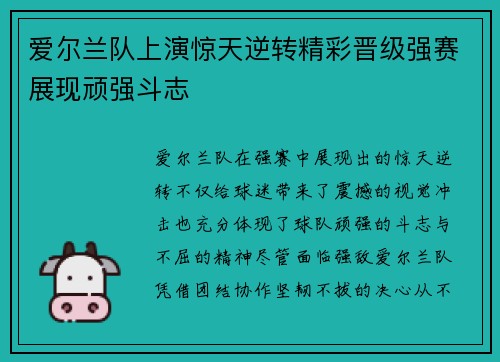 爱尔兰队上演惊天逆转精彩晋级强赛展现顽强斗志