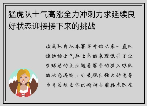 猛虎队士气高涨全力冲刺力求延续良好状态迎接接下来的挑战